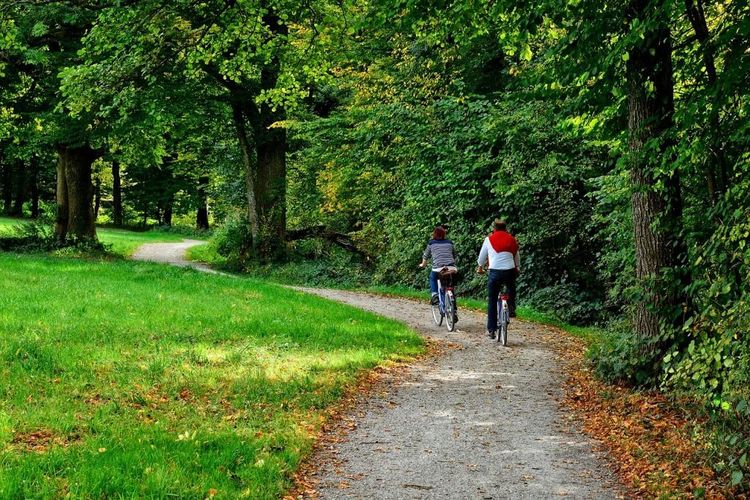 Un couple en train de faire du vélo sur un sentier en forêt